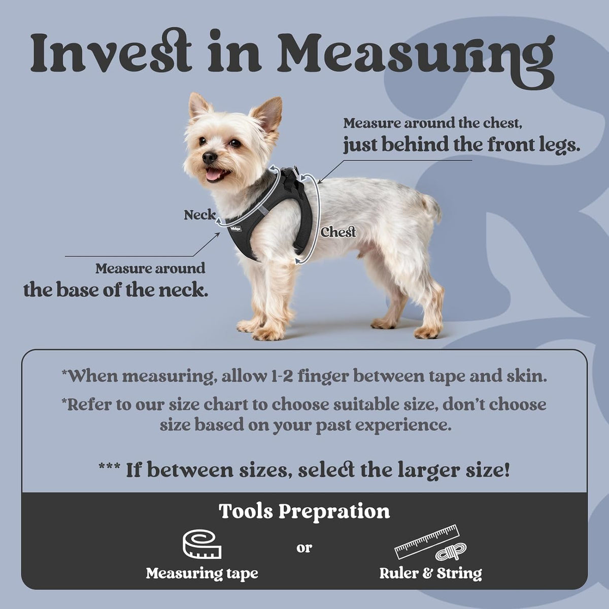 rabbitgoo Step-in Small Dog Harness - Black / Xs(chest:13.3"-15.5") - image 2