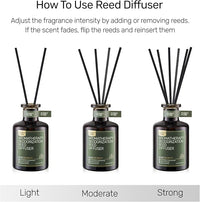 Reed Diffuser for Pet Odor Elimination, Lavender Cedar, Non-Toxic & Pet-Friendly Air Freshening, 6 Oz