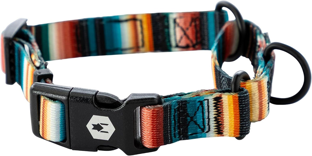 Wolfgang Heavy Duty Martingale Dog Collar with Quick Release Nylon - LostArt Print / Small (5/8 Inch x 10-12 Inch)