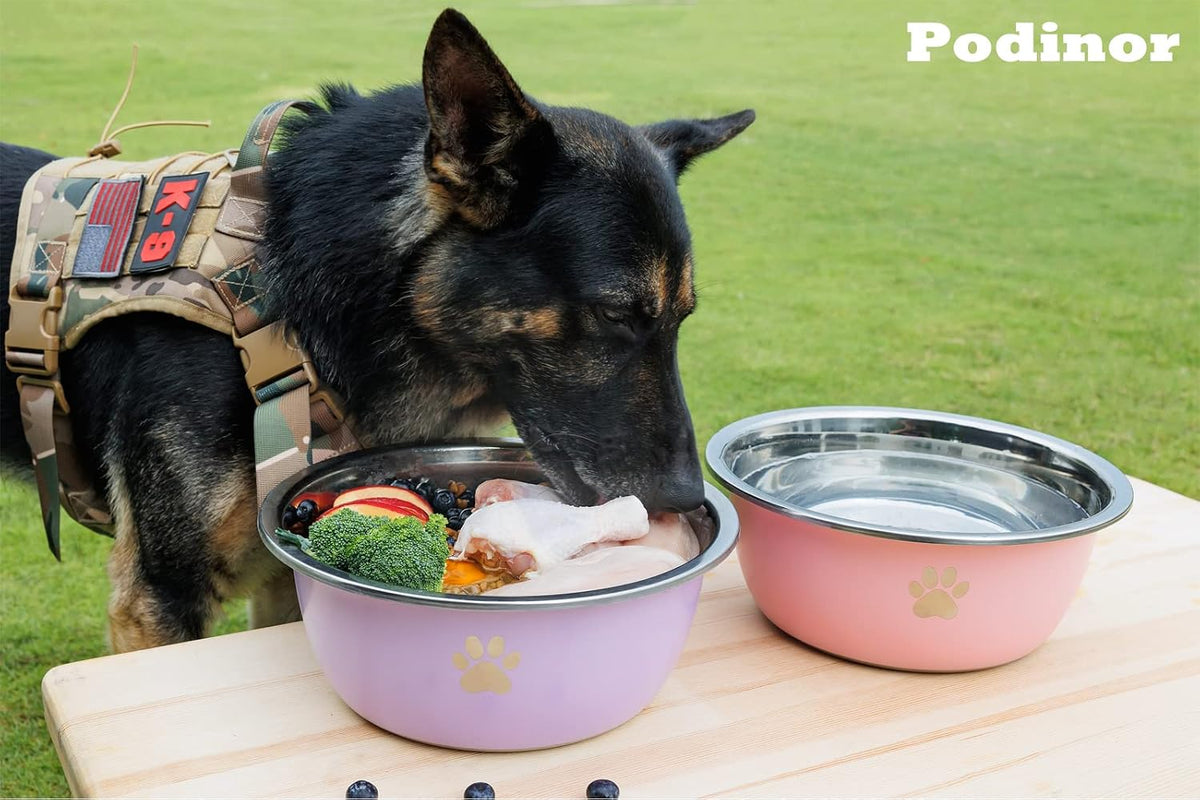 Large Dog Water Bowl 2 Pack, Aqua - Purple - 2 Pack / 1.3 Gallons - XL (100lb + breed) - image 2
