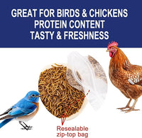 RANZ 20LBS Non-GMO Dried Mealworms for Chickens, High Protein Meal Worms, Premium Chicken Feed, Whole Large Mealworms for Blue Birds, Ducks, Fish