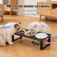 Elevated Cat Bowls with Splash Proof Mat for Kitten Puppy - White / 3bowls - image 2