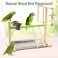 Birds Playground Parrot Playstand Birds Perch Stand Gym Natural Wood Play Stand with Ladder Swing Feeder Cups for Parakeets Cockatiels Lovebirds Conures Budgies