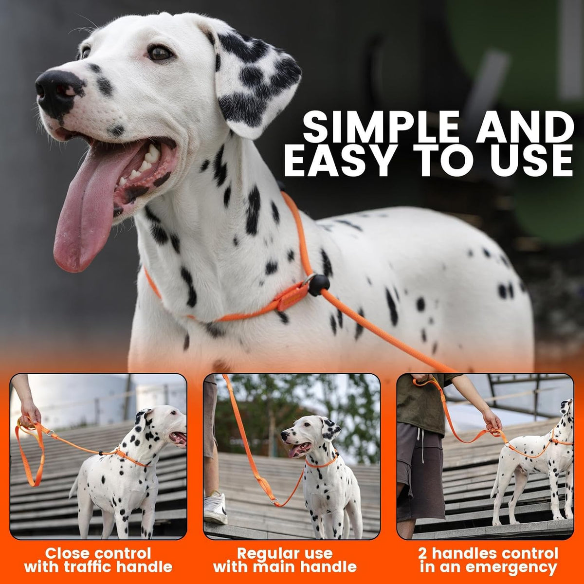 Dog slip lead leash with padded traffic handle and spring-loaded stoppers - view 2