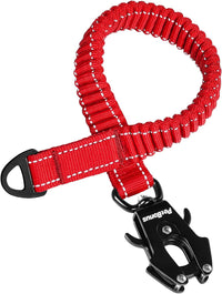 PetBonus Bungee Dog Leash Extension - Red