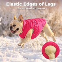 Fleece Lined Dog Jacket for Small Dogs, Winter Dog Coat - Pink / Medium - image 3