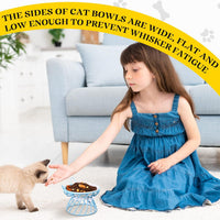 Sunnyray 4 Pcs Elevated Cat Bowls Raised Cat Food Bowl - Bow Tie / Multicolor - image 4