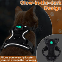 Cat Harness and Leash for Walking - XS / Black - image 3
