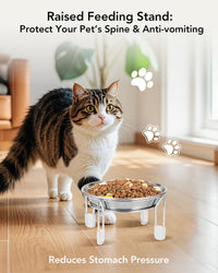 Elevated cat Bowl 2PC, 6.3" Wide Raised Cat Bowl – Essentials for Cats - 4PC - image 2