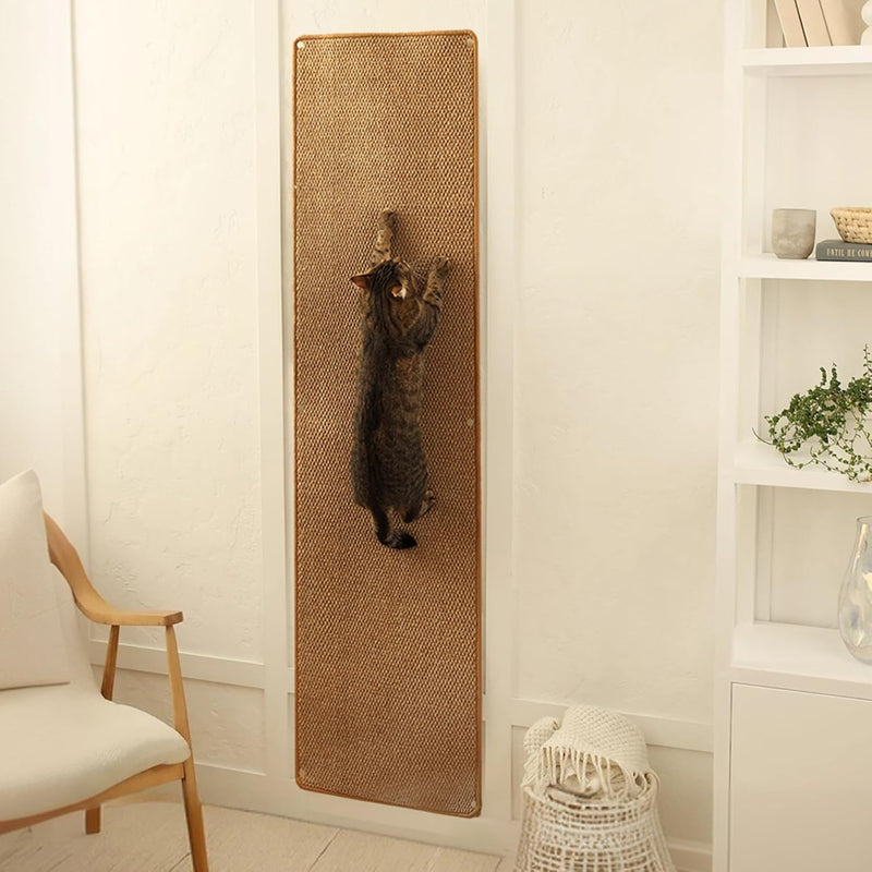 Cat Wall Climbing Carpet - Cat Wall Scratcher 67" x 17" with Fixed Nails – Essentials for Cats