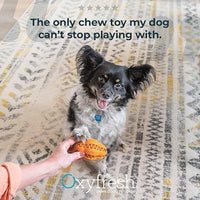 Oxyfresh Dog Dental Chew Toy - Best Durable Rubber Dog Toy & Puppy Teething Toy - Helps Remove Plaque, Cleans Teeth & Freshens Breath Without Brushing (Small)