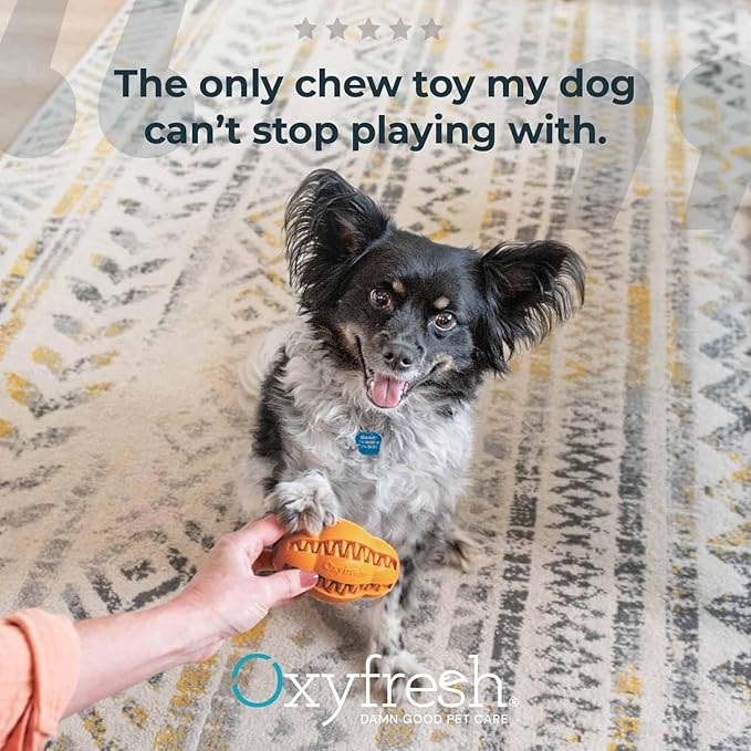 Oxyfresh Dog Dental Chew Toy - Best Durable Rubber Dog Toy & Puppy Teething Toy - Helps Remove Plaque, Cleans Teeth & Freshens Breath Without Brushing (Small)