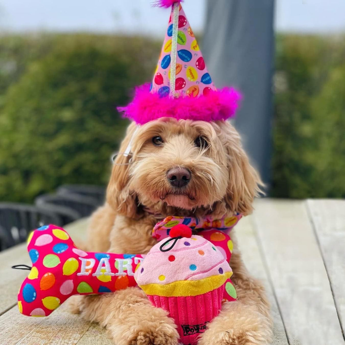 Huxley & Kent Party Crown Hat for Dogs & Cats - Large / Pink Party Time - image 2