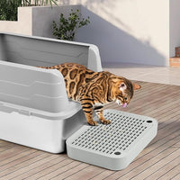 Cat Litter Box Ramp Mat with Filter Function, Cat Step Pedal Stool for Self-Cleaning Litter Box, Easy to Clean, Ideal for Kitten & Elderly Cats (Light Grey)