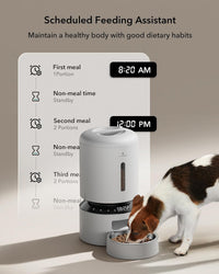 PETLIBRO Automatic Cat Feeder for 2 Cats - White / Basic - image 2