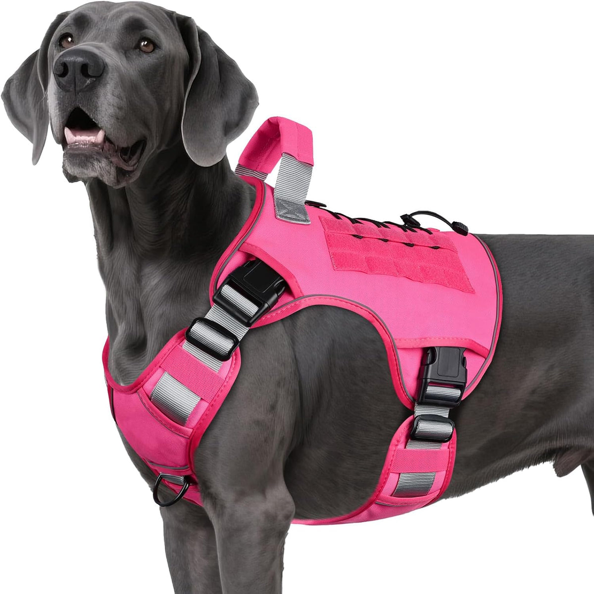 Tactical Dog Harness for Large Dogs - Pink / XX-Large: 110-160 lbs (Chest:36-43",Neck:26-37")