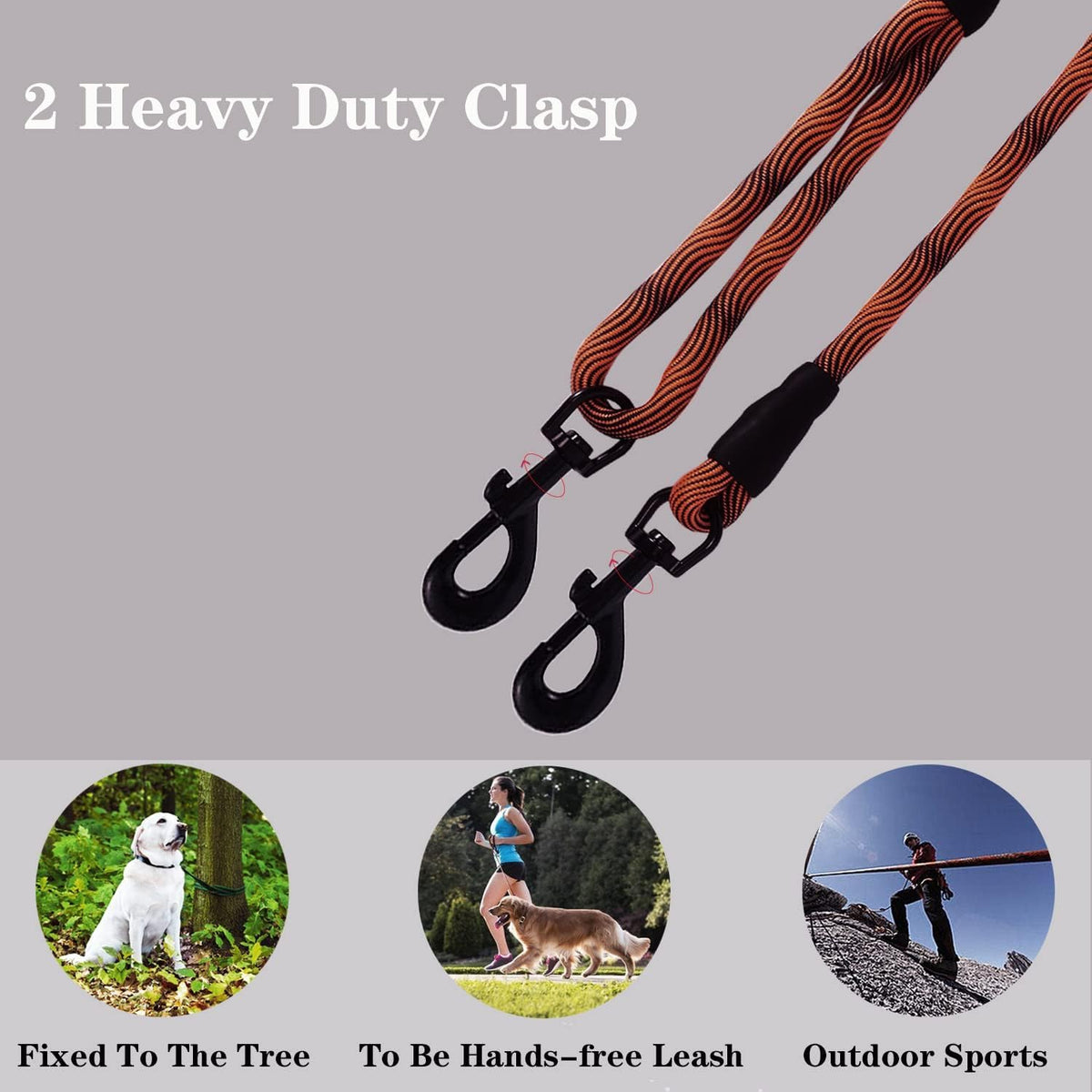 Long Dog Leash Tie-Out Check Cord - Orange / 100FT - image 4