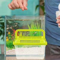 FRCOLOR 2pcs plastic turtle fish tank acrylic reptile cage tortoise habitat Pet Fish Tank Reptile Feeding Tank aquatic turtle tanks and aquariums eamon living habitat mini breeding box