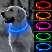 Light Up Dog Collar – Essentials for Dogs - Blue (70cm)