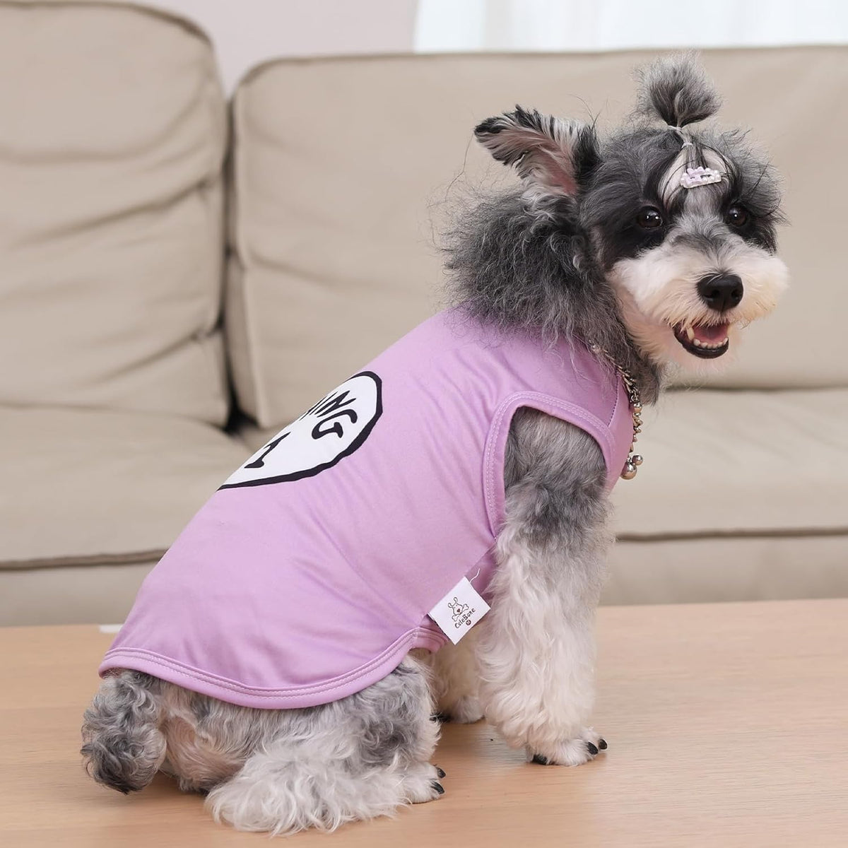 CuteBone Dog Shirts 2-Pack Soft Pet Clothes Breathable Summer Vest - Small / Girl thing 1 thing 2 - image 2