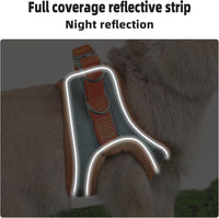 Adjustable Bunny Harness and Leash Set, Rabbit Vest Supplies – Essentials for Small Pets - image 3