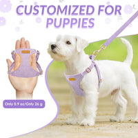 SlowTon No Pull Dog Harness with Leash for Small Medium Dogs - Small(11-17.5lb) / Solid Purple - image 2