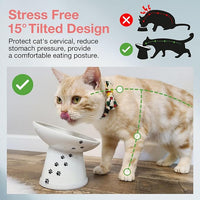 Necoichi Extra Wide Raised Cat Food Bowl, Elevated, Prevent Neck & Whisker Fatigue, Dishwasher and Microwave Safe, No.1 Seller in Japan! (Cat, Extra Wide Tilted)