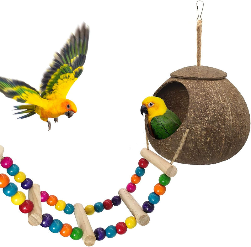 Hanging Coconut Birds House with Ladder