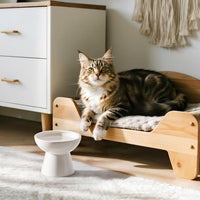 Extra Wide Elevated Ceramic 6.2" Shallow Cat Food Bowl – Essentials for Cats - White-Deeper - image 3