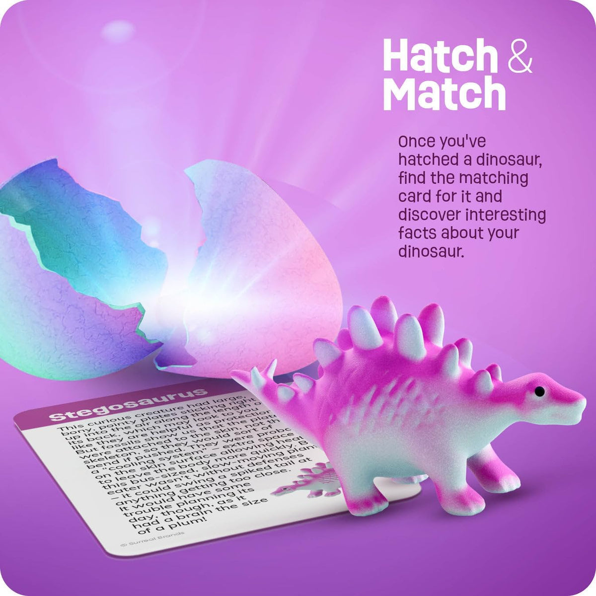 Dinosaur Hatching Surprise Eggs for Kids, Dino Toys - image 4