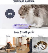Coomazy Slow Feeder Cat Bowl Silicone Pet Puzzle Feeder for Slow - Purple / 1.2 Cups - image 3