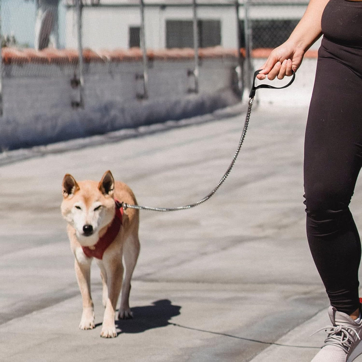 Chain Heavy Duty Metal Dog Leash - 6FTx3mm (30-120 lbs) - image 4