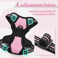 rabbitgoo Dog Harness No Pull with 2 Leash Clips, Adjustable Soft Padded, Reflective Oxford No Choke Pet Vest with Easy Control Handle for Puppy, Pink, XS
