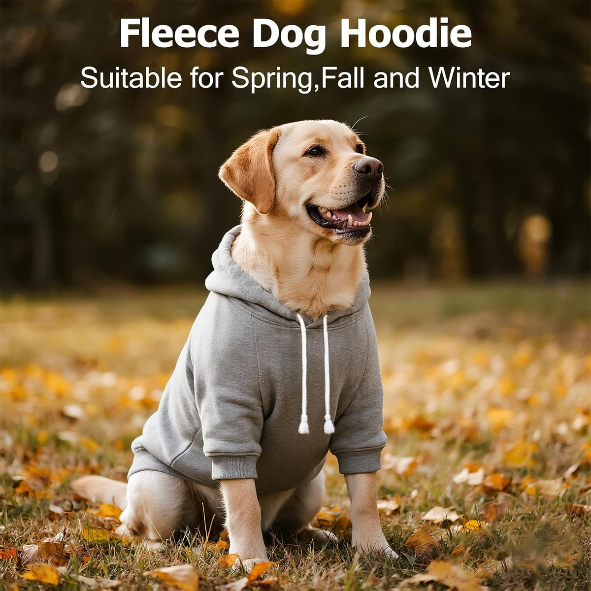 Dog Basic Hoodie Soft Dog Clothes Cold Weather Sweaters for Medium - Grey / XS (Back: 10.24",Chest: 14.96", 2-5 lbs) - image 3