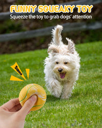 SCHITEC Dog Squeaky Toy Balls, Puppy Tennis Balls for Fetch Play - For Small/Medium Dogs / Tennis Ball - image 2