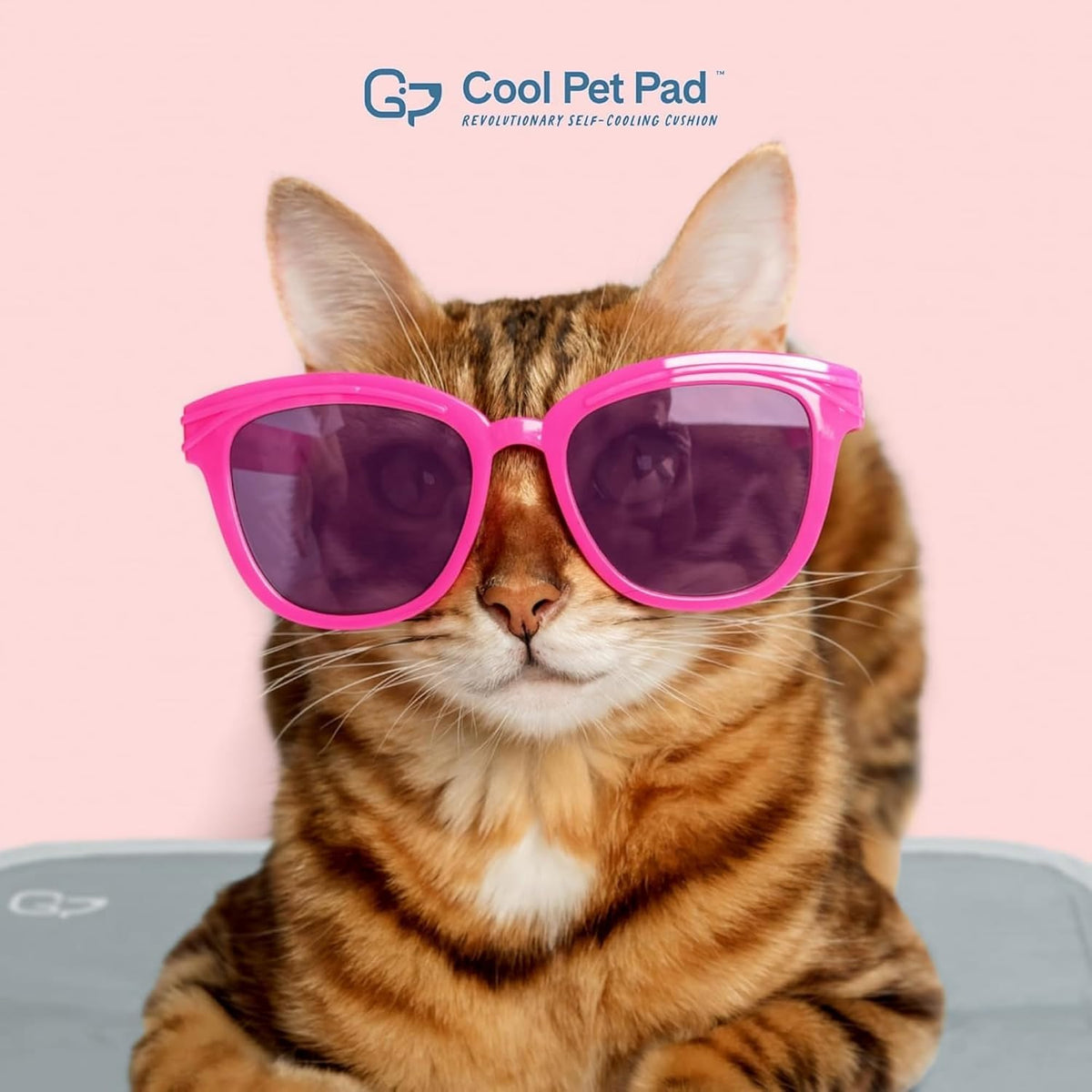 The Green Pet Shop Cool Pet Pad, Self-Cooling - Medium / Sage Grey - image 2