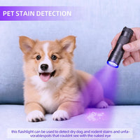 UV Flashlight Black Light - 1 pack - image 3