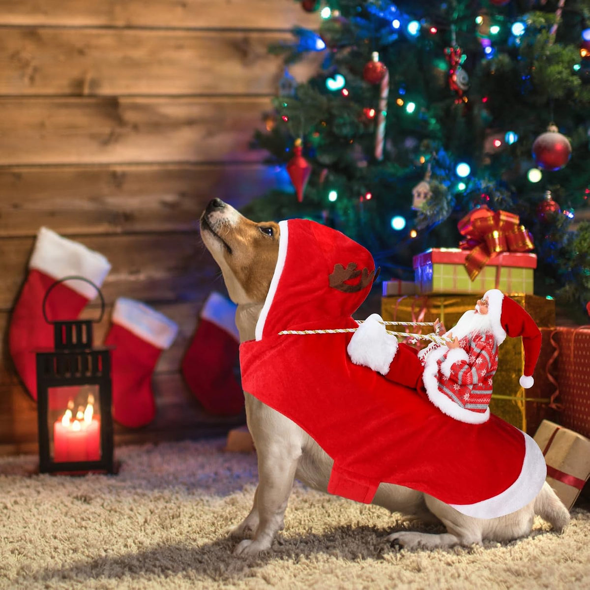 Santa Dog Costume, Dog Christmas Outfit, Riding Pet Costume - Snowflake Santa Claus / M(Neck:11.8-15" Chest:18.1-22.4") - image 4