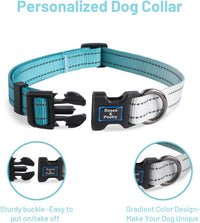 Roses&Poetry Reflective Dog Collar with Gradient Mistyrose - S / Teal - image 3