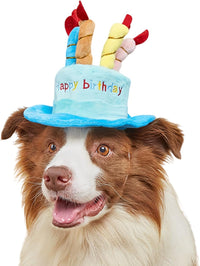 Cute Pet Party Hat for Dogs&Cats - Blue