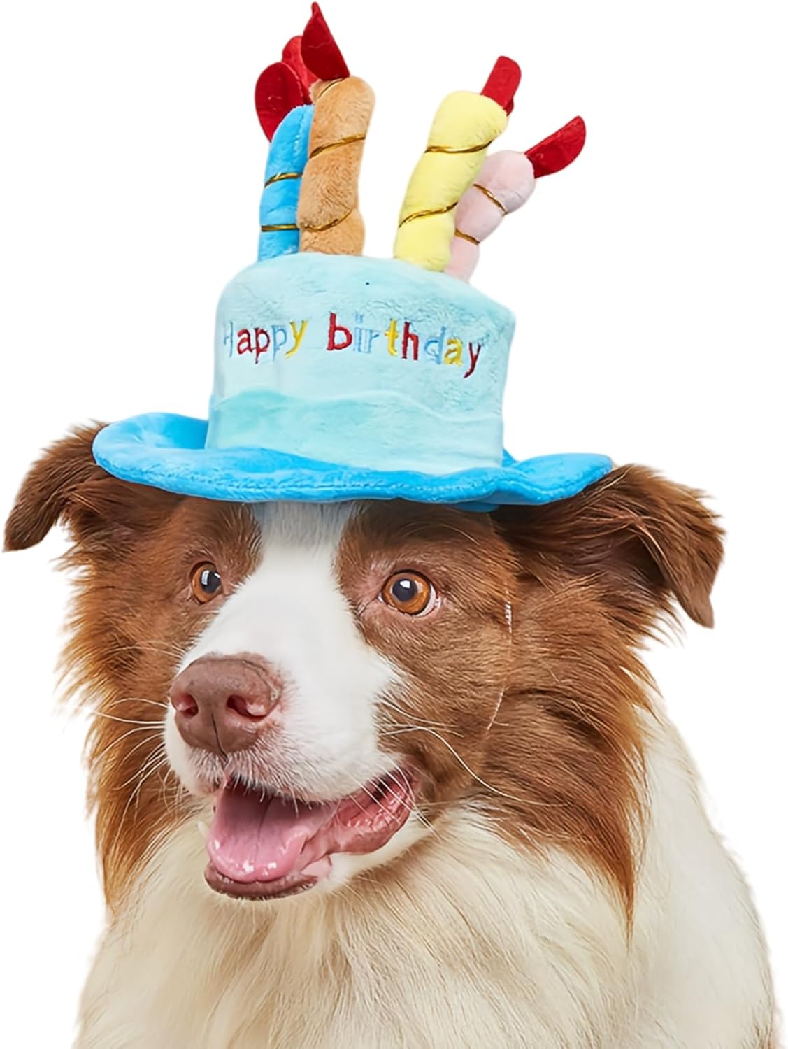 Cute Pet Party Hat for Dogs&Cats - Blue