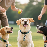 Metal Dog Poop Bag Holder 2-Pack w/Leash Clip - Dark Green / 1 Holder 15 Bags - image 2