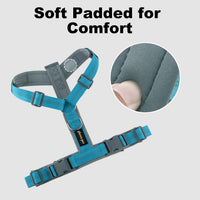 Plutus Pet No Pull Dog Harness - L / Cyan - image 3