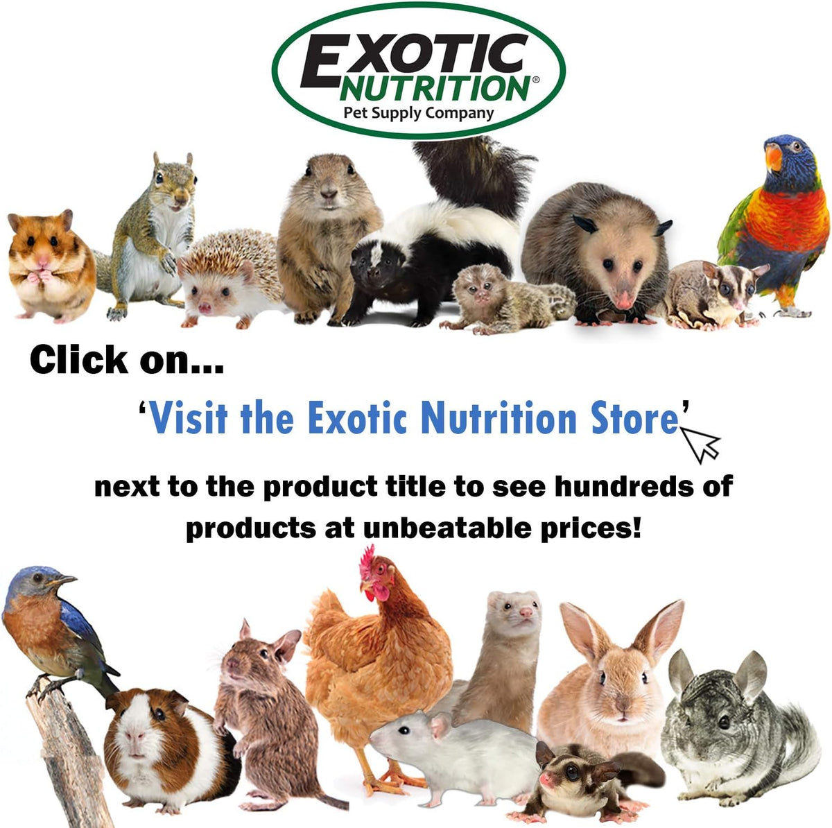 Exotic Nutrition All-Natural Nesting Material - 4 oz. - image 4