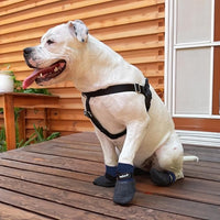 Double Dipped Thick Textured Waterproof Cotton Dog Socks | PawFlex Comfy Pawz Soft Indoor/Outdoor Pet Booties | Non-Slip Silicone Grip at Inner Wrist for No Twisting or Sliding Off| Adjustable Strap