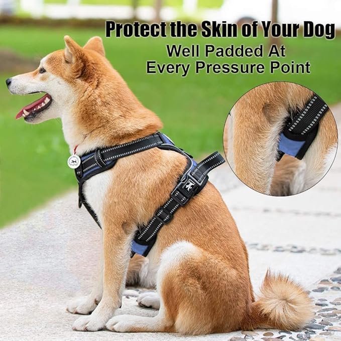 PoyPet No Pull Dog Harness, Reflective Comfortable Vest Harness with Front & Back 2 Leash Attachments and Easy Control Handle Adjustable Soft Padded Pet Vest for Small to Large Dogs (Light Blue,XS)