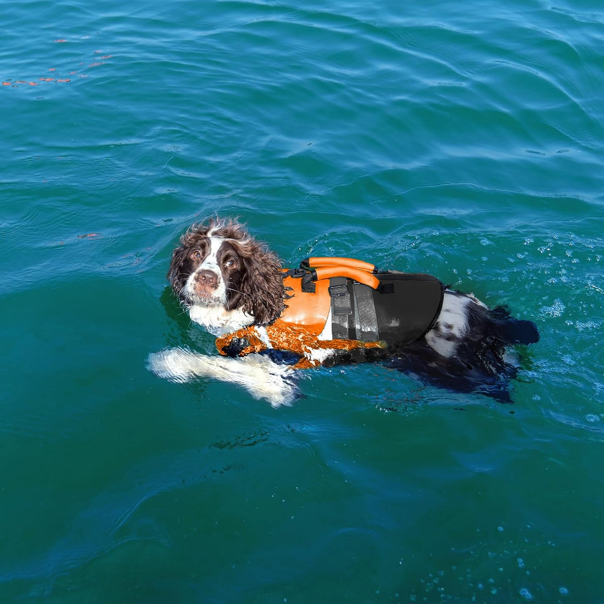 Kuoser Dog Life Jacket with Rescue Handle - Small (Chest Girth:16.9-21.3'') / Orange - image 4