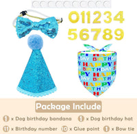 PET SHOW Pink Crown Dog Birthday Party Hat for Girls Reusable - Blue Cone Hat+Bandana+Bowtie - image 4
