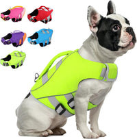 Queenmore XS Dog Life Jacket - Medium / Neno Green