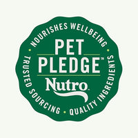Nutro Natural Choice Large Breed Puppy Dry Dog Food, Chicken and Brown Rice Recipe, 13 lbs.